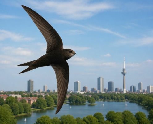 AI-gegenereerd beeld van een gierzwaluw boven de Kralingse Plas.